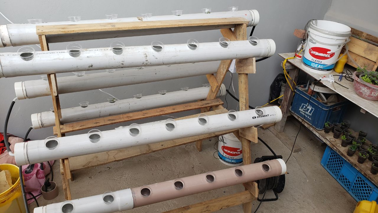 Sistema de hidroponía con Raspberry Pi y tablero web